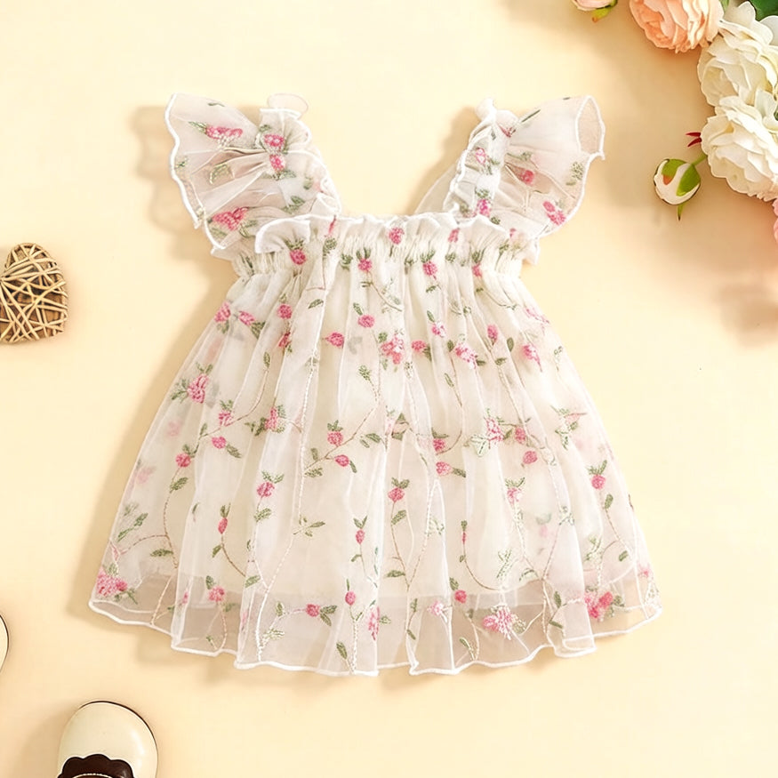 Baby Girl 3D Lace Butterfly Wings Tutu Dress with Floral Embroidery