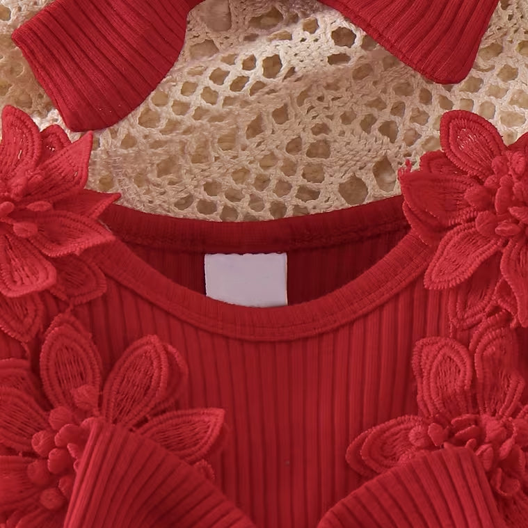 2PCS Baby Girl 3D Floral and Cherry Embroidered Long Sleeve Mesh Dress