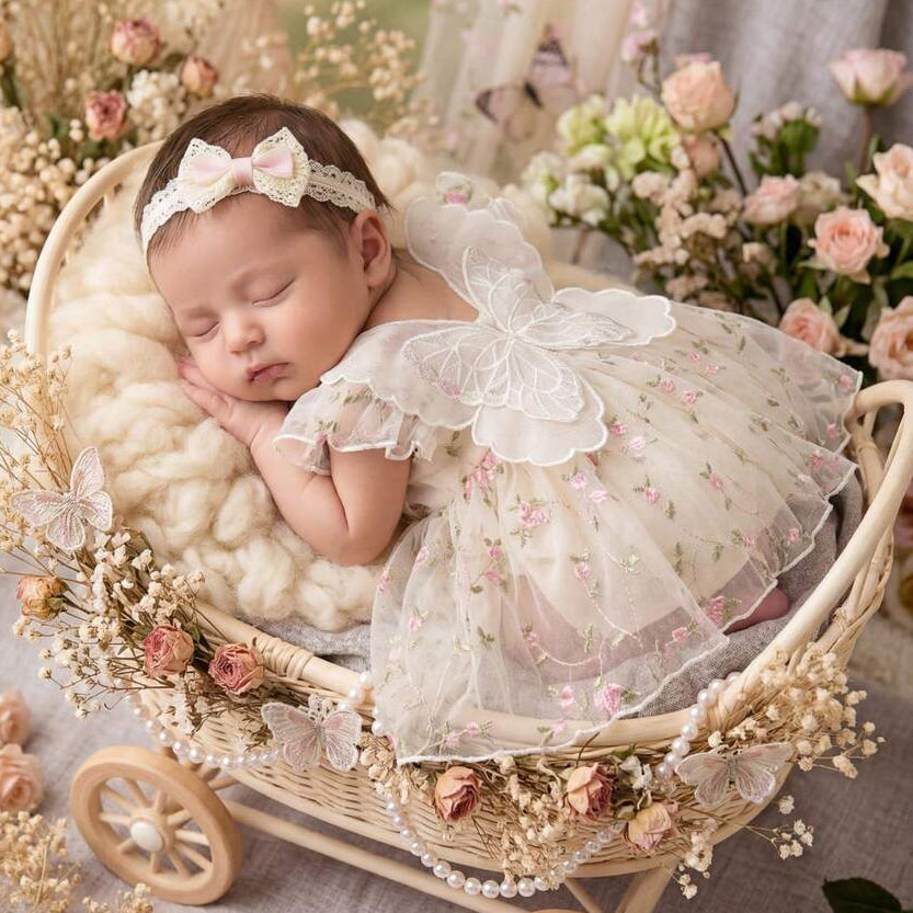Baby Girl 3D Lace Butterfly Wings Tutu Dress with Floral Embroidery