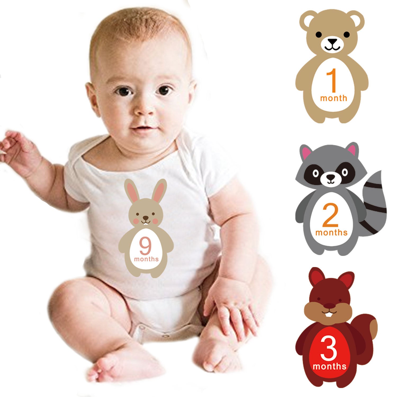 Paquete de 12 pegatinas de hitos mensuales para bebés con diseño de animales reutilizables